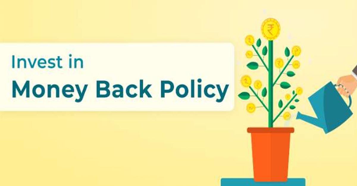 Money Back Insurance